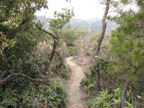 20140125hike (219)